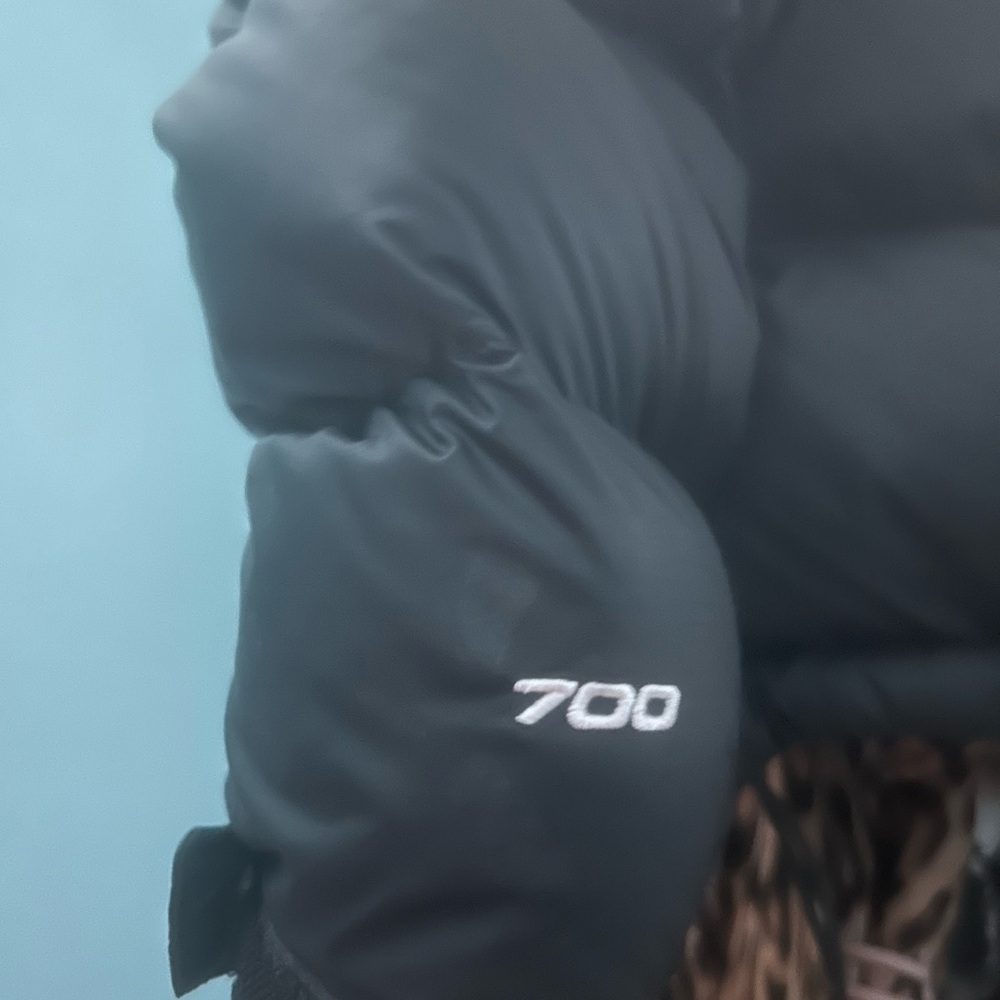 The North Face Retro Black Jacket - Picture 3 of 5